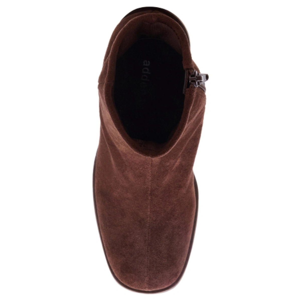 BOTINES MUJER STEVE MADDEN DANIELAA - 7