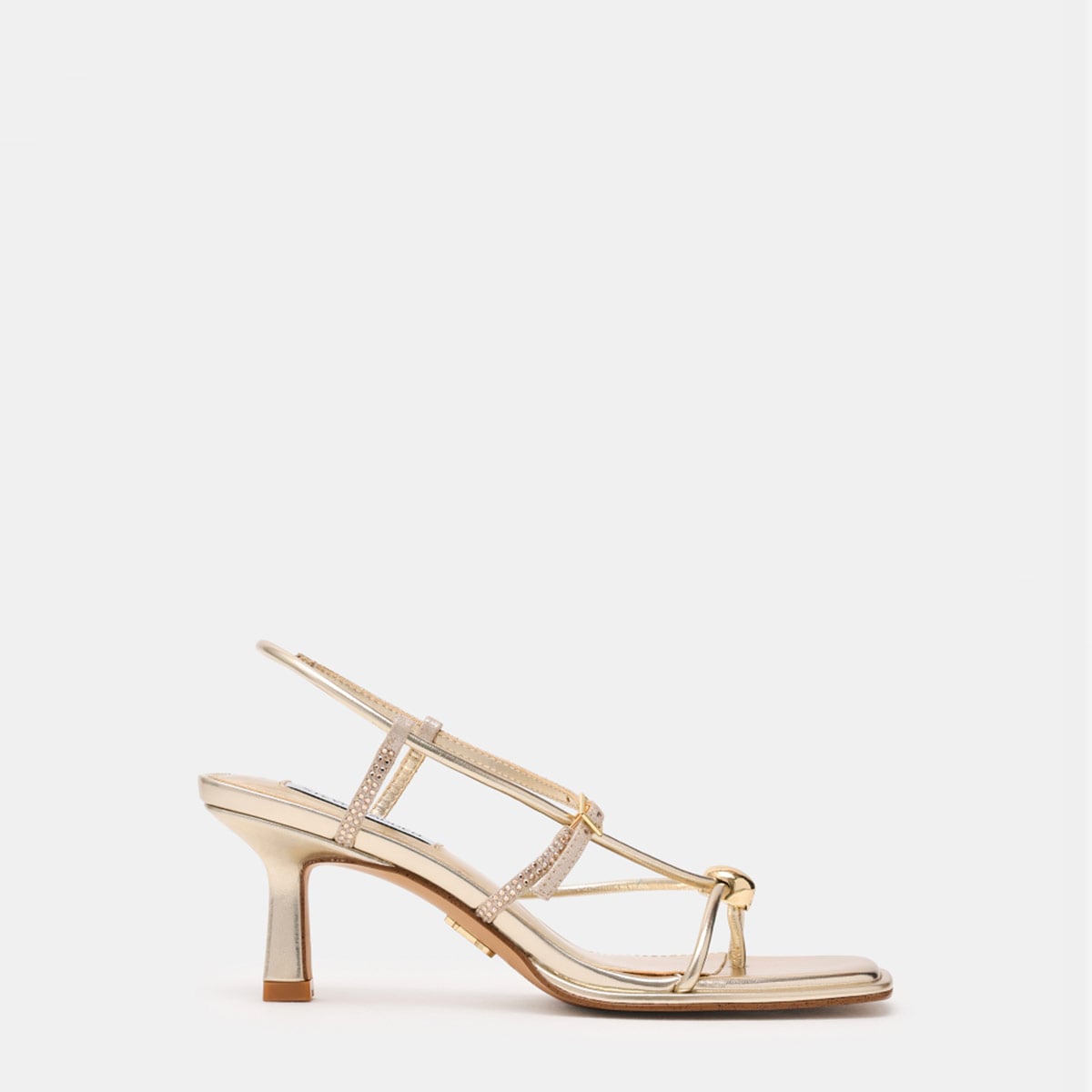 ZAPATO MUJER STEVE MADDEN JACKPOTS - 1