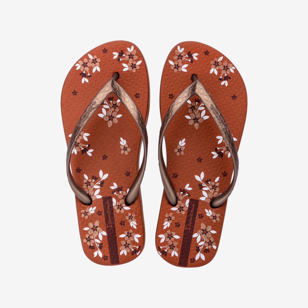 SANDALIAS MUJER IPANEMA MARRÓN - 1