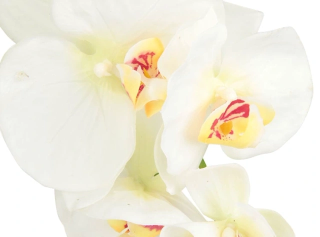 PLANTA RIPLEY HOME ORQUIDEA BLANCA CON MACETA NEGRA - 3