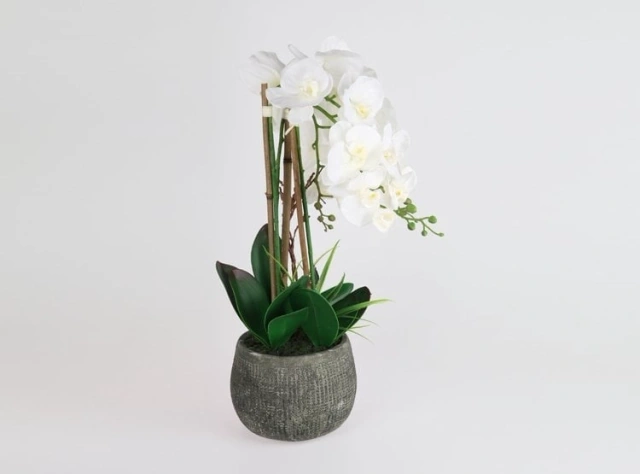 PLANTA RIPLEY HOME ORQUIDEA BLANCA CON MACETA CONCRETO - 2