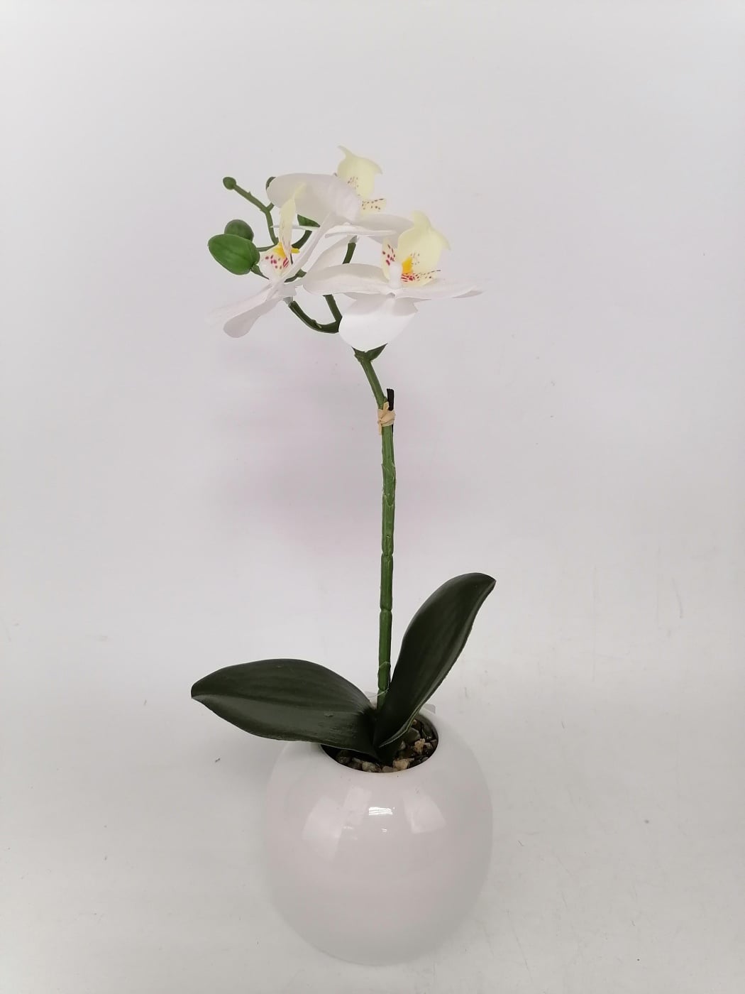 PLANTA RIPLEY HOME BLANCO ORQUIDEA BLANCA 36CM - 1