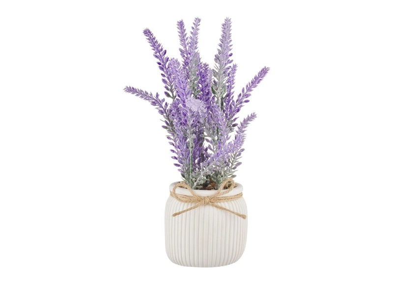 PLANTA RIPLEY HOME MACETA LAVANDA - 1