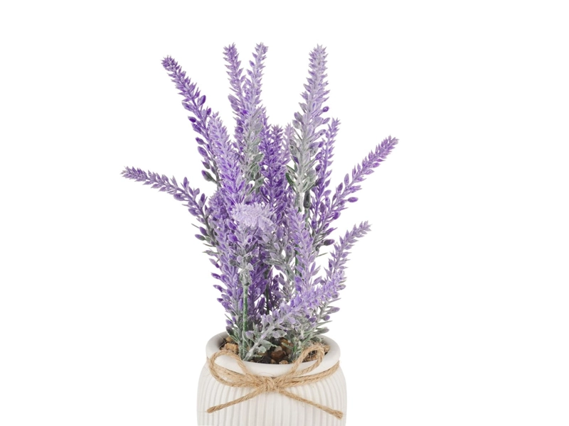 PLANTA RIPLEY HOME MACETA LAVANDA - 2