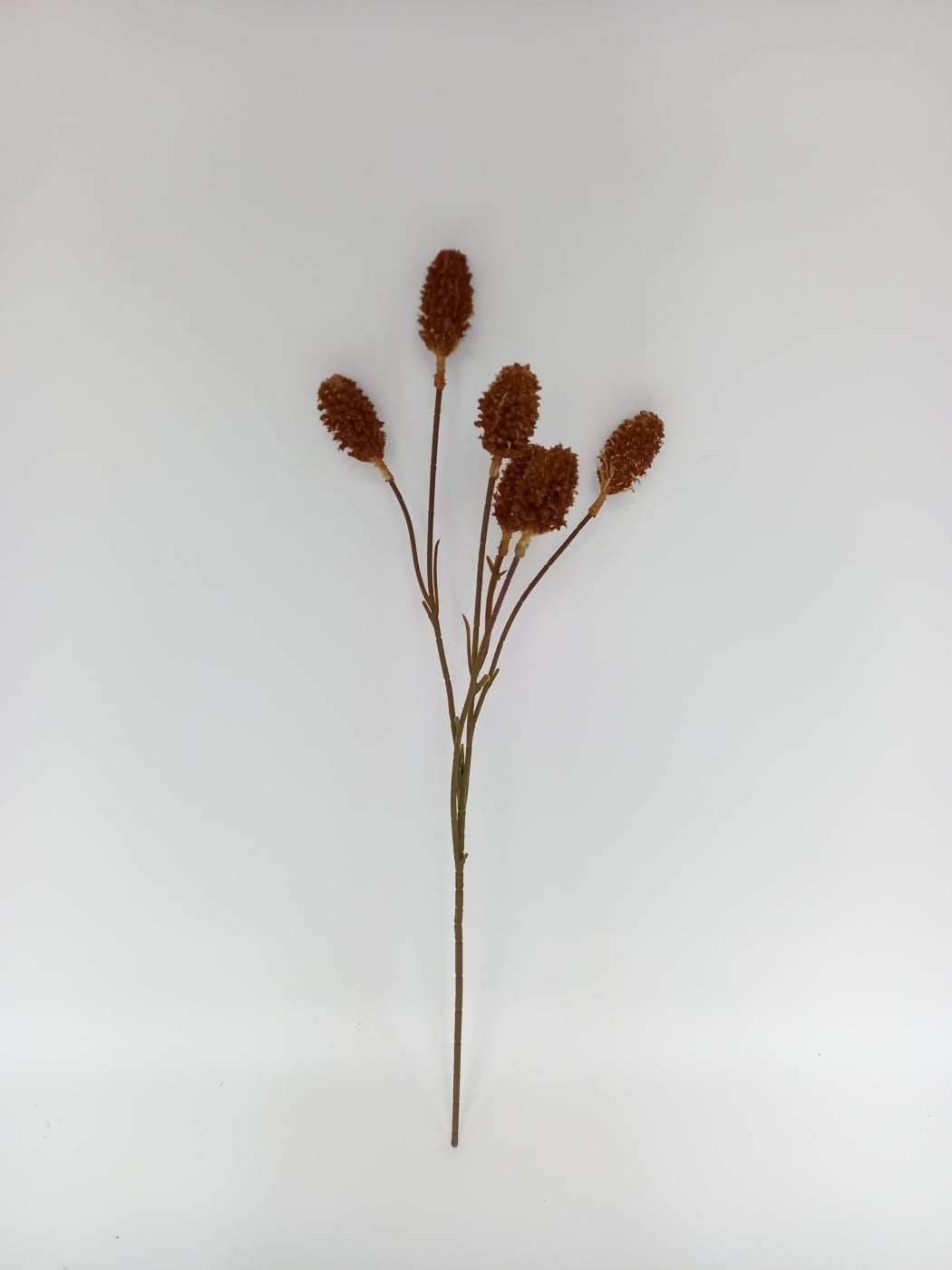 FLOR GRANEL COLA DE CONEJO RIPLEY HOME OCRE 62CM - 1