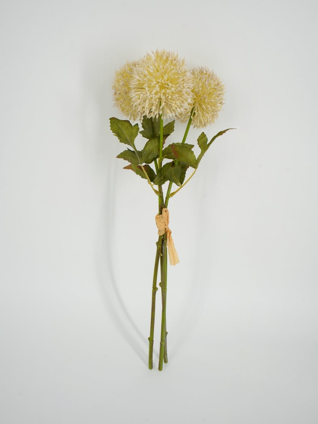 RAMO X3 GRANEL LEUCAENA RIPLEY HOME BLANCA 44CM - 1