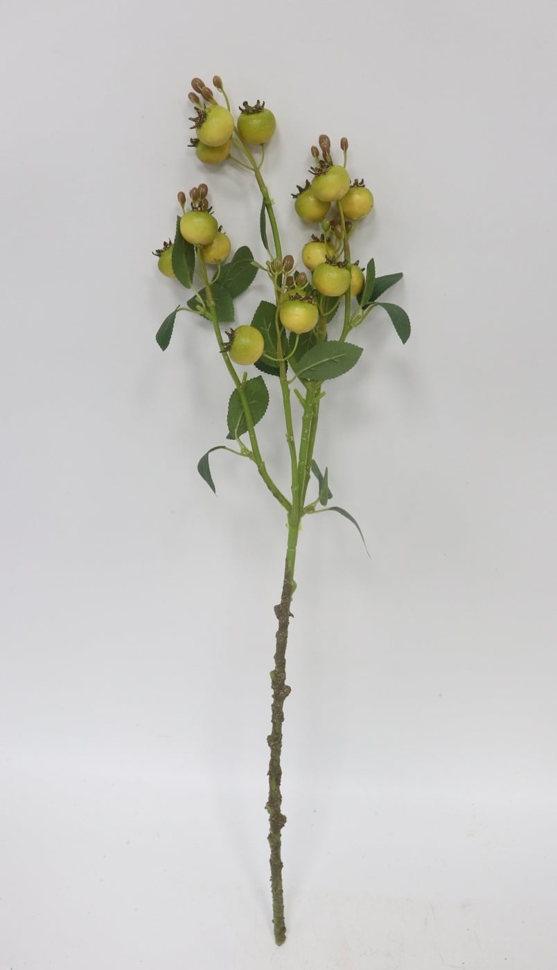 RAMA GRANEL AMAPOLA RIPLEY HOME 62CM - 1