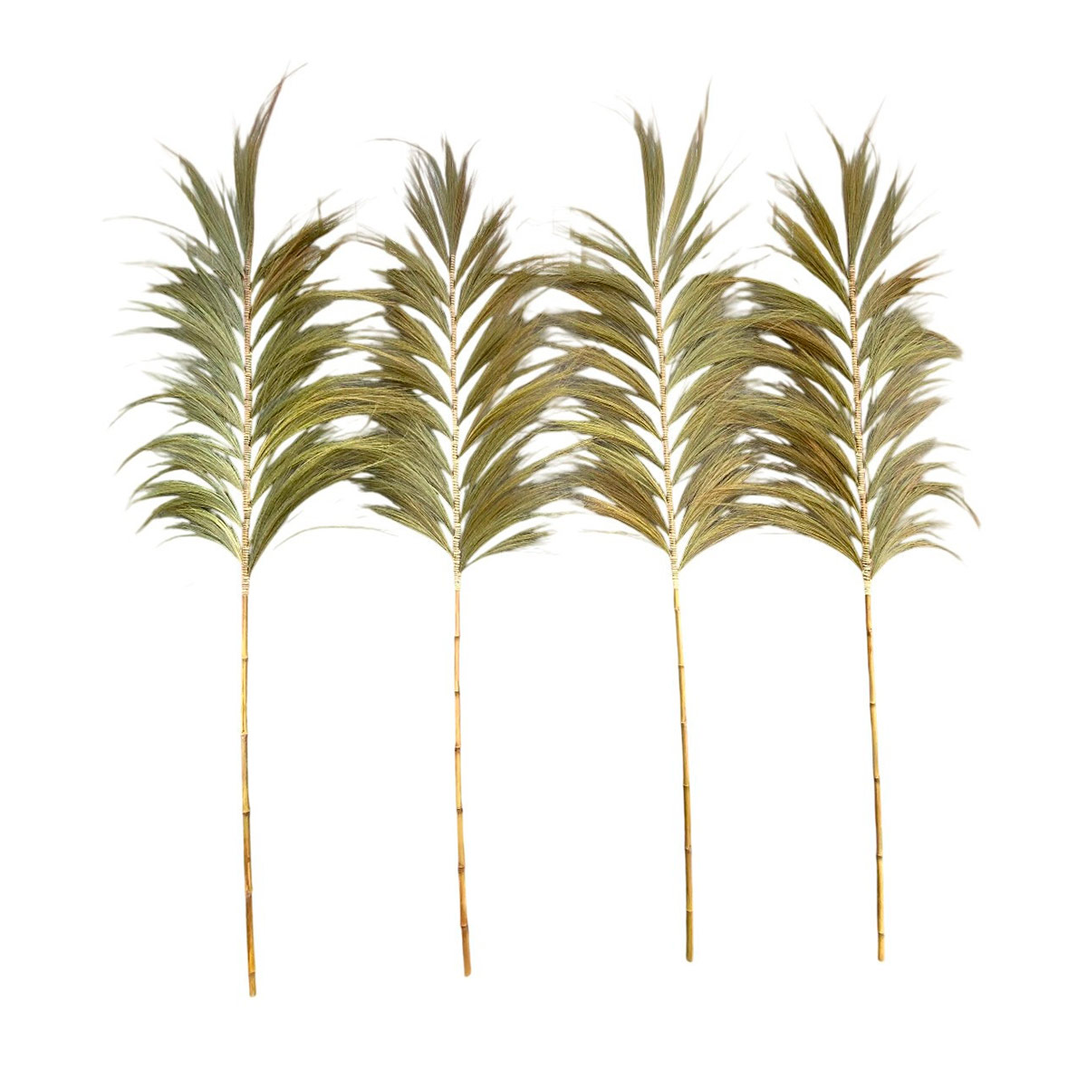RAMA MAISON LINETT MEDITERRÁNEO NATURAL OSCURA 200 CM - 2