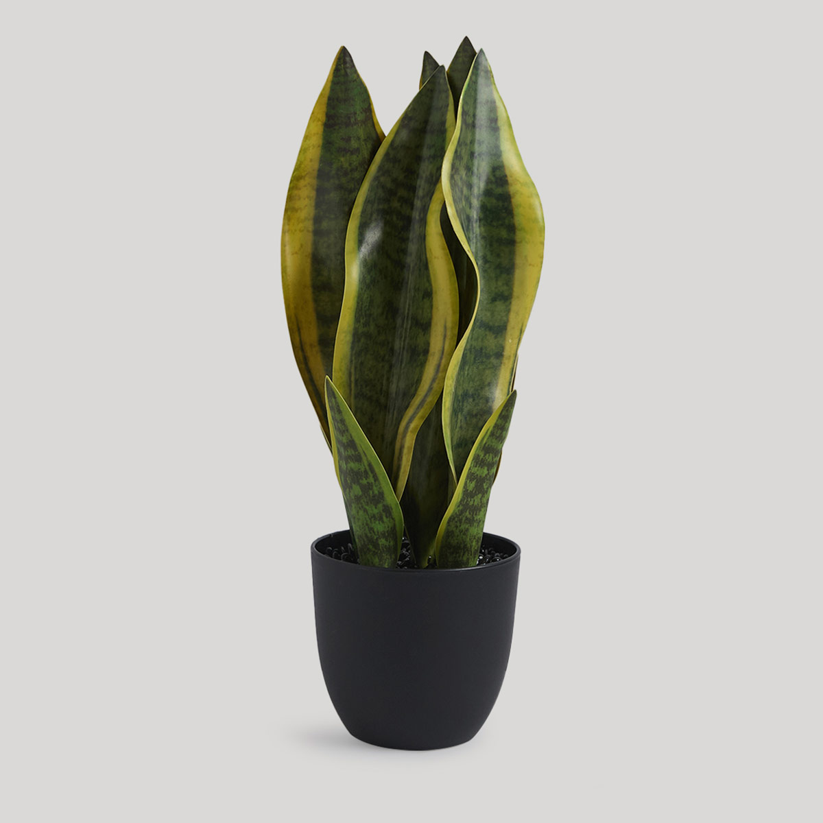 PLANTA DECORATIVA RIPLEY HOME LENGUA DE SUEGRA MACETA 38 CM - 2
