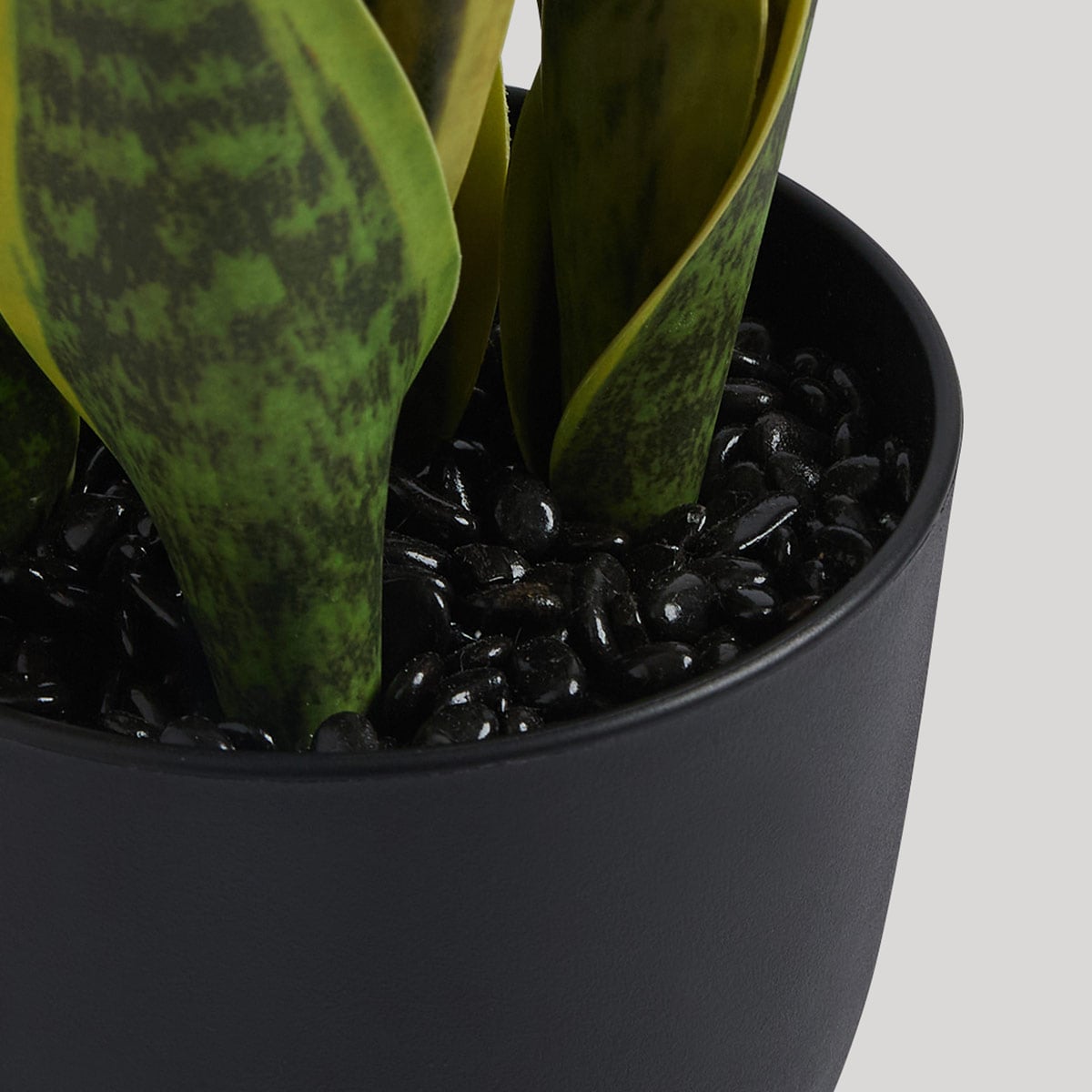 PLANTA DECORATIVA RIPLEY HOME LENGUA DE SUEGRA MACETA 38 CM - 3