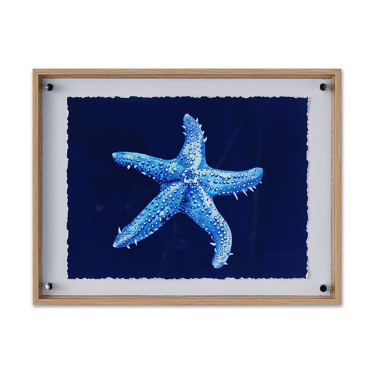 CUADRO RIPLEY HOME ESTRELLA DE MAR AZUL - 1