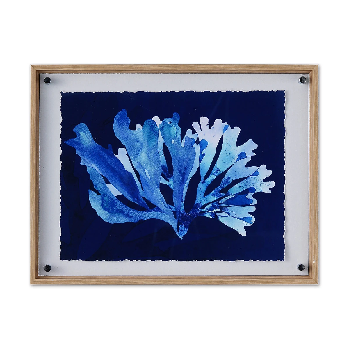 CUADRO RIPLEY HOME CORAL AZUL - 1