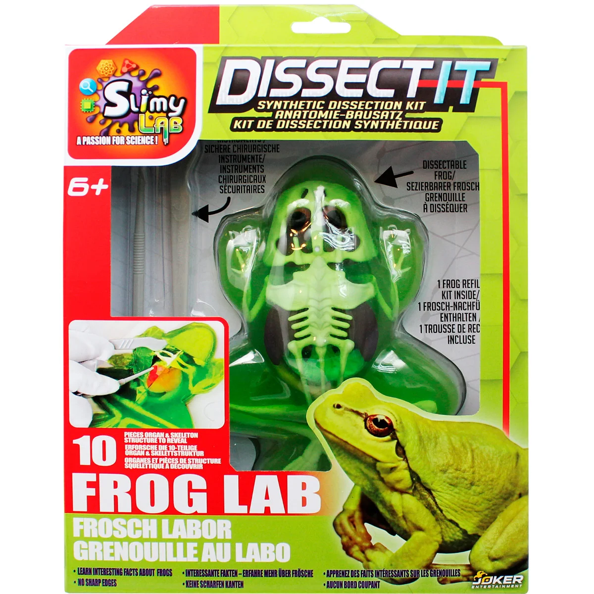 DISSECT IT RANA KIT DE DISECCION - 1