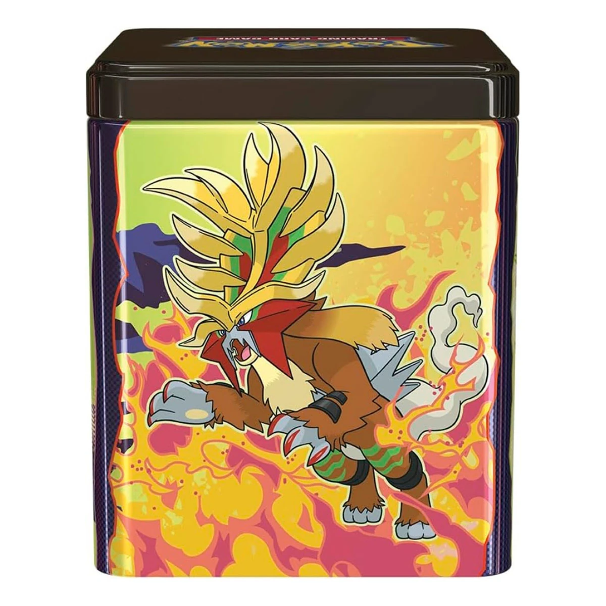 POKÉMON TCG LATA APILABLE 2025 – ESPAÑOL - 2