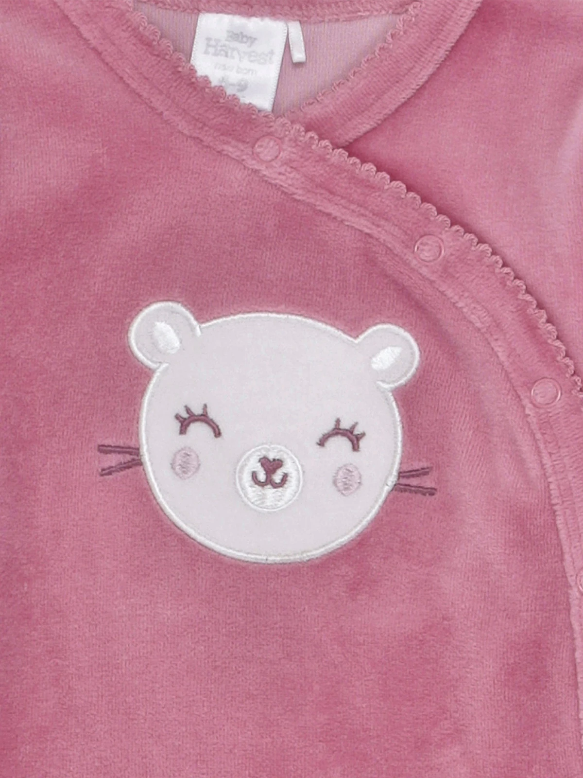 OSITO NIÑA BABY HARVEST 2 PCS - 3