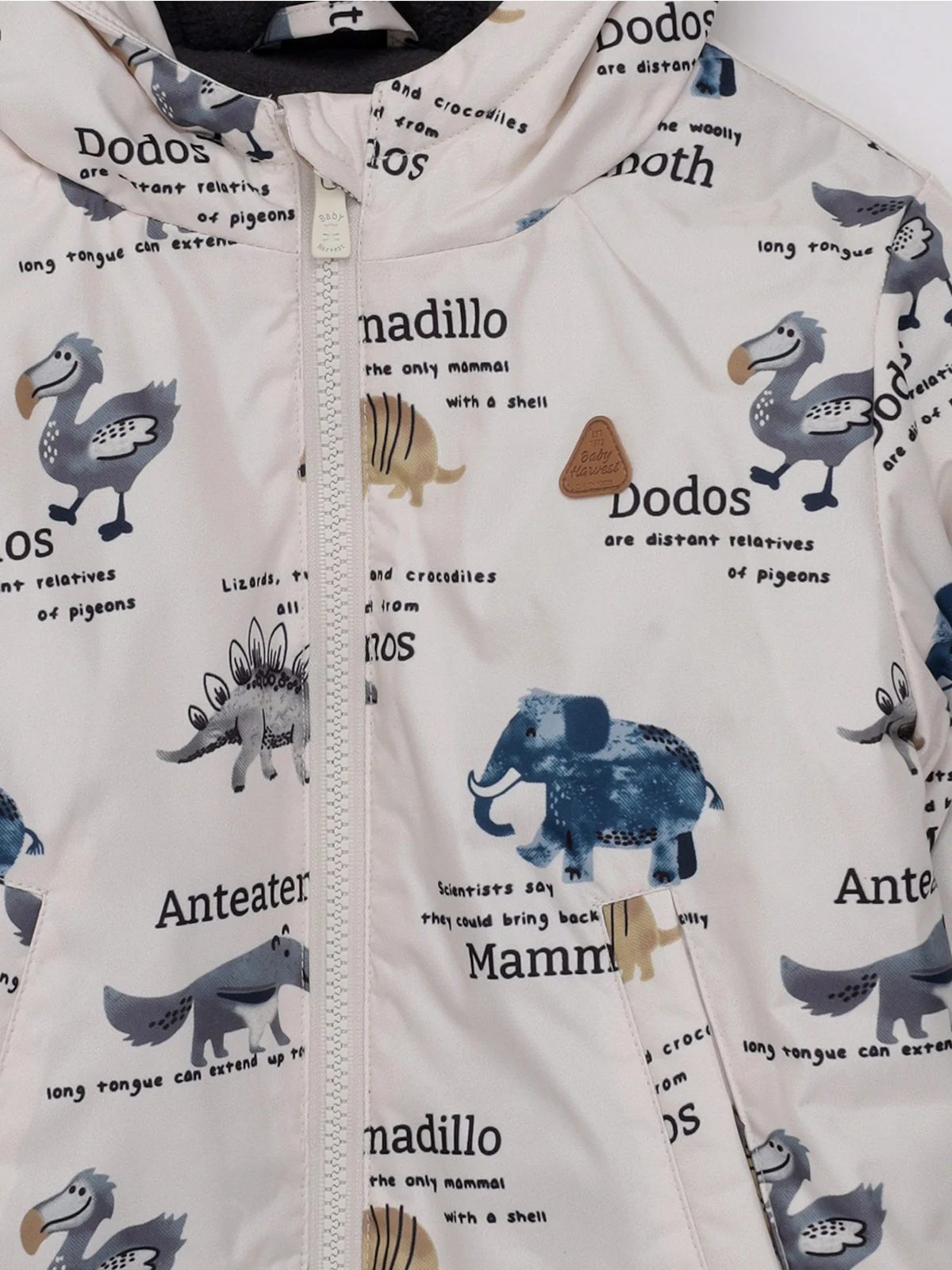 CASACA PRINT BEBE NIÑO BABY HARVEST - 3