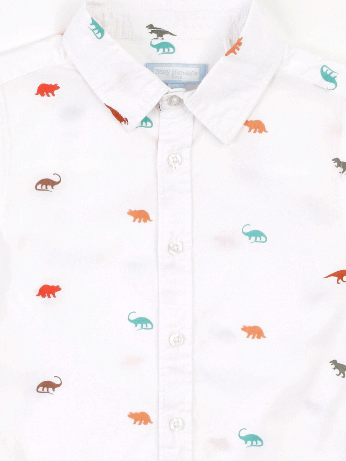 CAMISA MANGA LARGA ALGODÓN NIÑO BABY HARVEST - 5