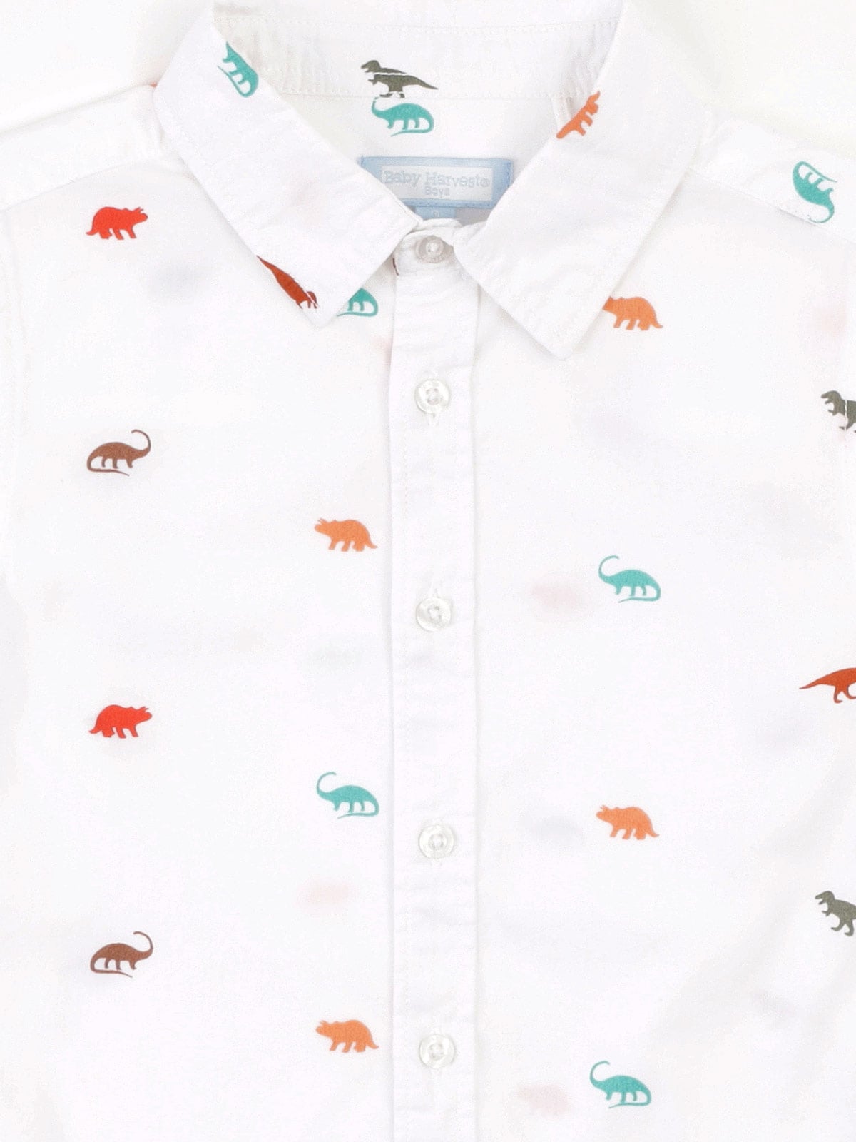 CAMISA MANGA LARGA ALGODÓN NIÑO BABY HARVEST - 5