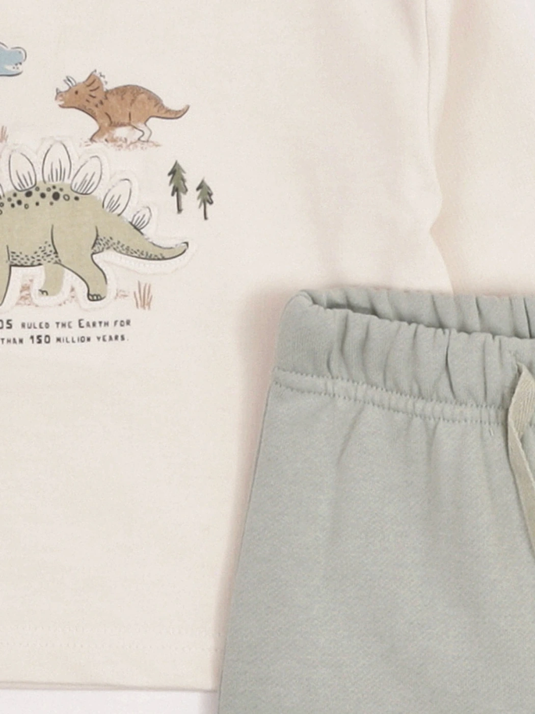 CONJUNTO POLERA FRENCH TERRY + PANTALON BEBE NIÑO BABY HARVEST - 5