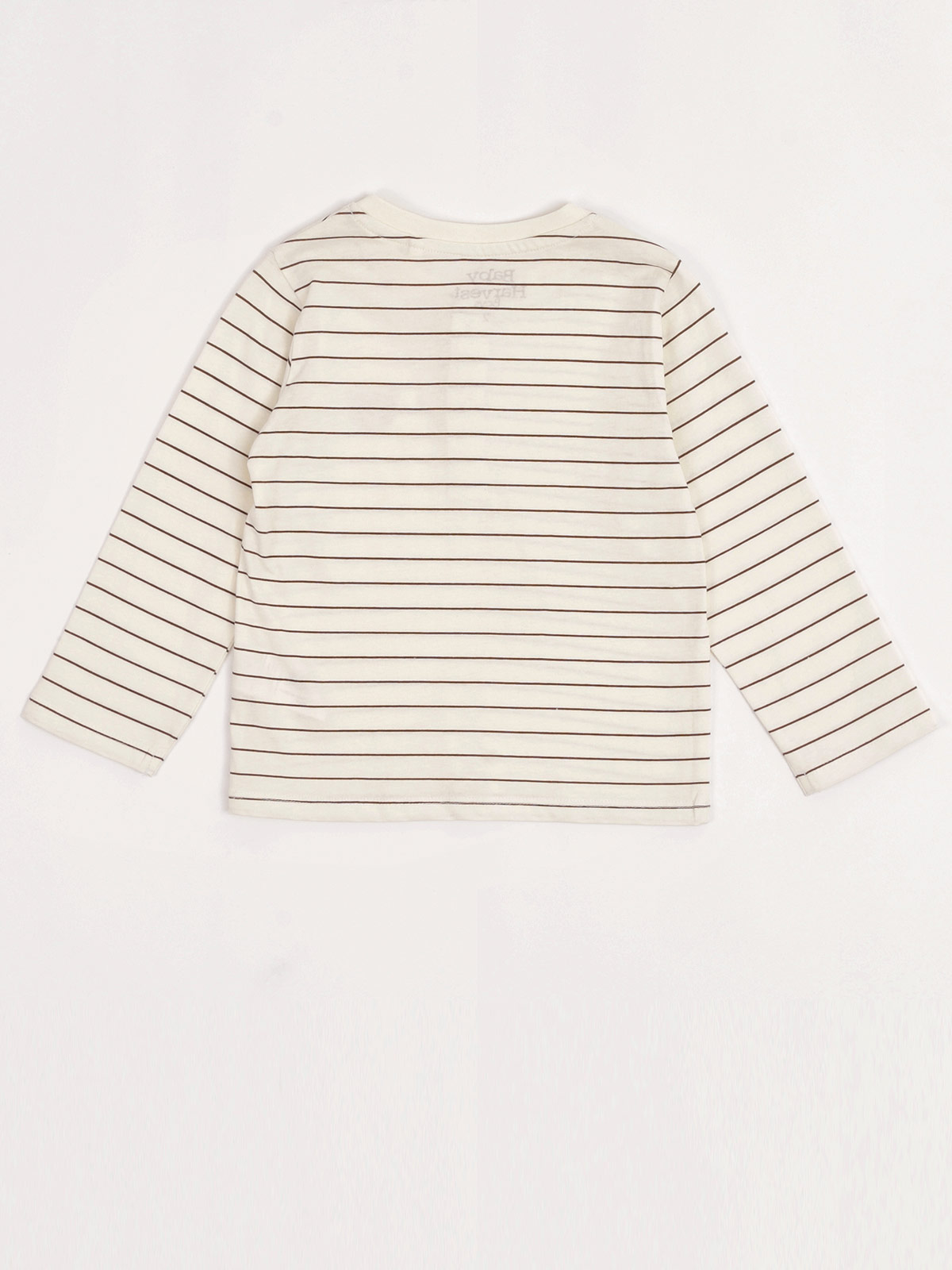 POLO MANGA LARGA ALGODÓN NIÑO BABY HARVEST HENLEY - 4