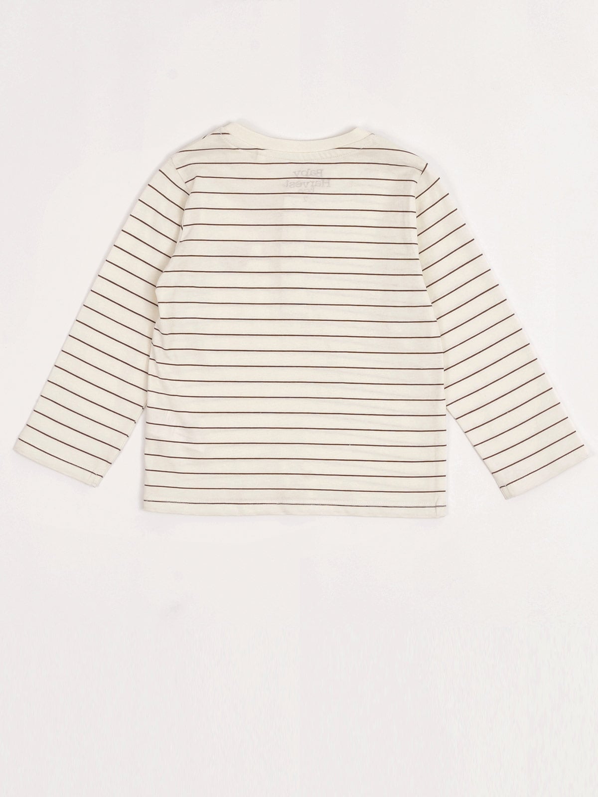 POLO MANGA LARGA ALGODÓN NIÑO BABY HARVEST HENLEY - 4