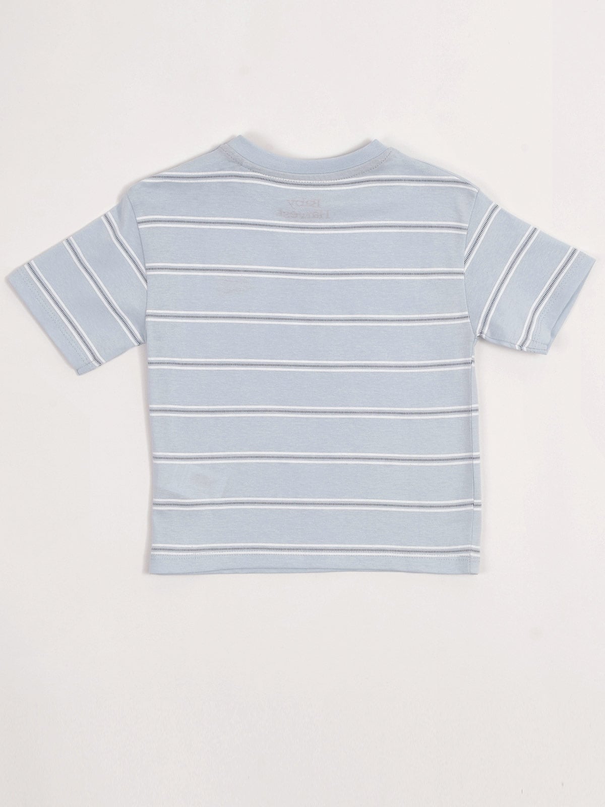 POLO LINEA MANGA CORTA ALGODÓN BEBE NIÑO BABY HARVEST - 2