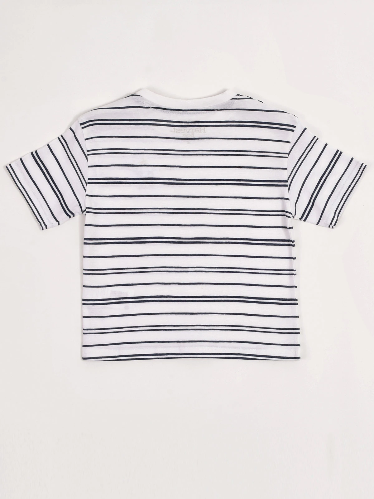 POLO LINEA MANGA CORTA ALGODÓN BEBE NIÑO BABY HARVEST - 2