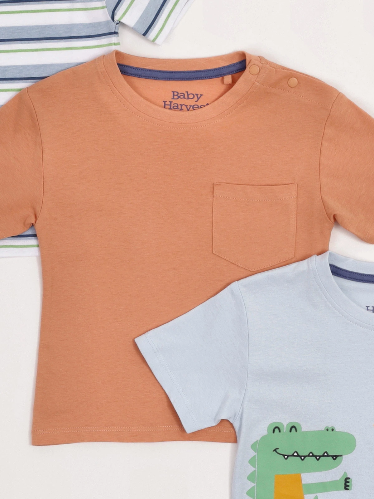 PACK X3 POLO MANGA CORTA ALGODÓN NIÑO BABY HARVEST - 3