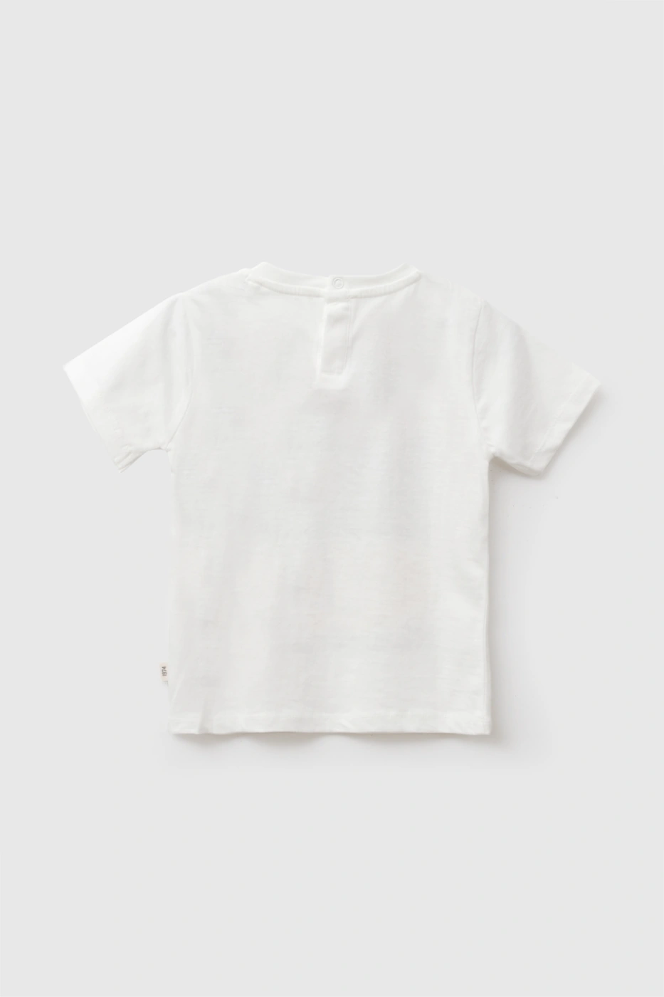 POLO MANGA CORTA BEBÉ NIÑO ALGODÓN COLLOKY - 2