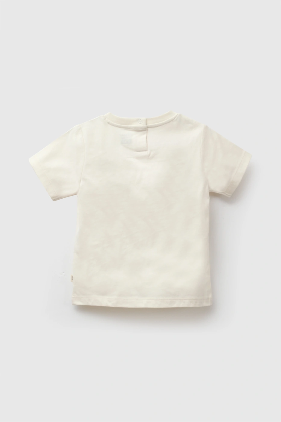 POLO MANGA CORTA ALGODÓN BEBÉ NIÑO COLLOKY - 2