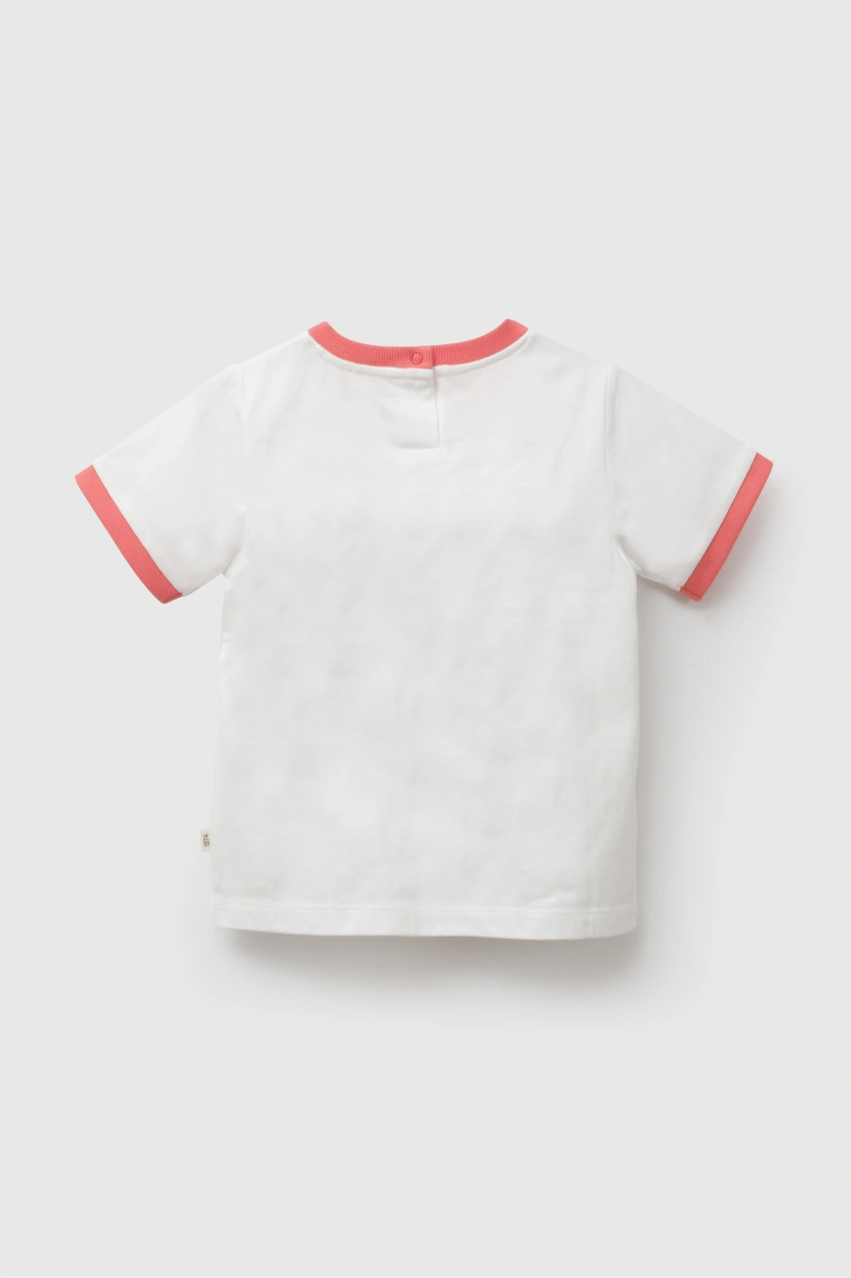 POLO MANGA CORTA ALGODÓN BEBÉ NIÑO COLLOKY - 2
