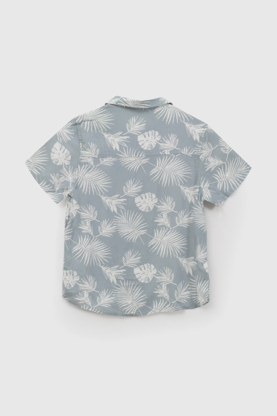 CAMISA MANGA CORTA NIÑO COLLOKY ESTAMPADA TROPICAL - 2