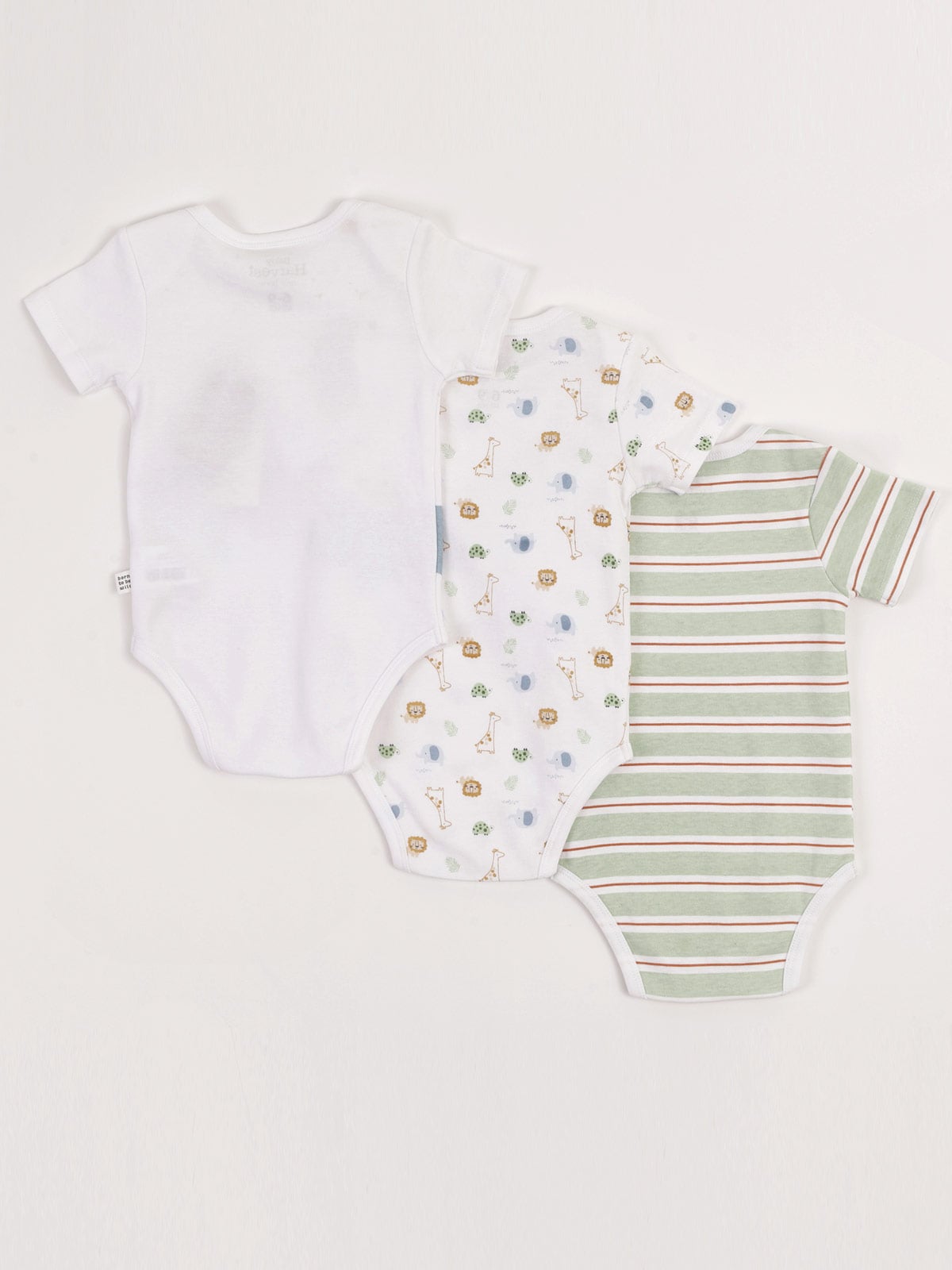 PACK X3 BODY ALGODÓN NIÑO BABY HARVEST MANGA CORTA - 2