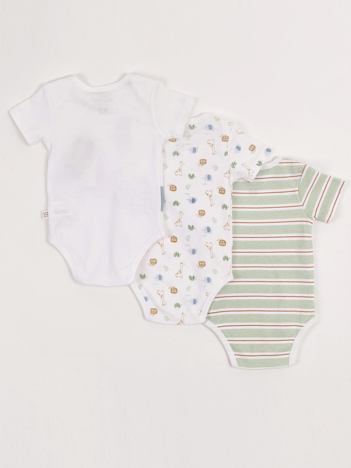 PACK X3 BODY ALGODÓN NIÑO BABY HARVEST MANGA CORTA - 2