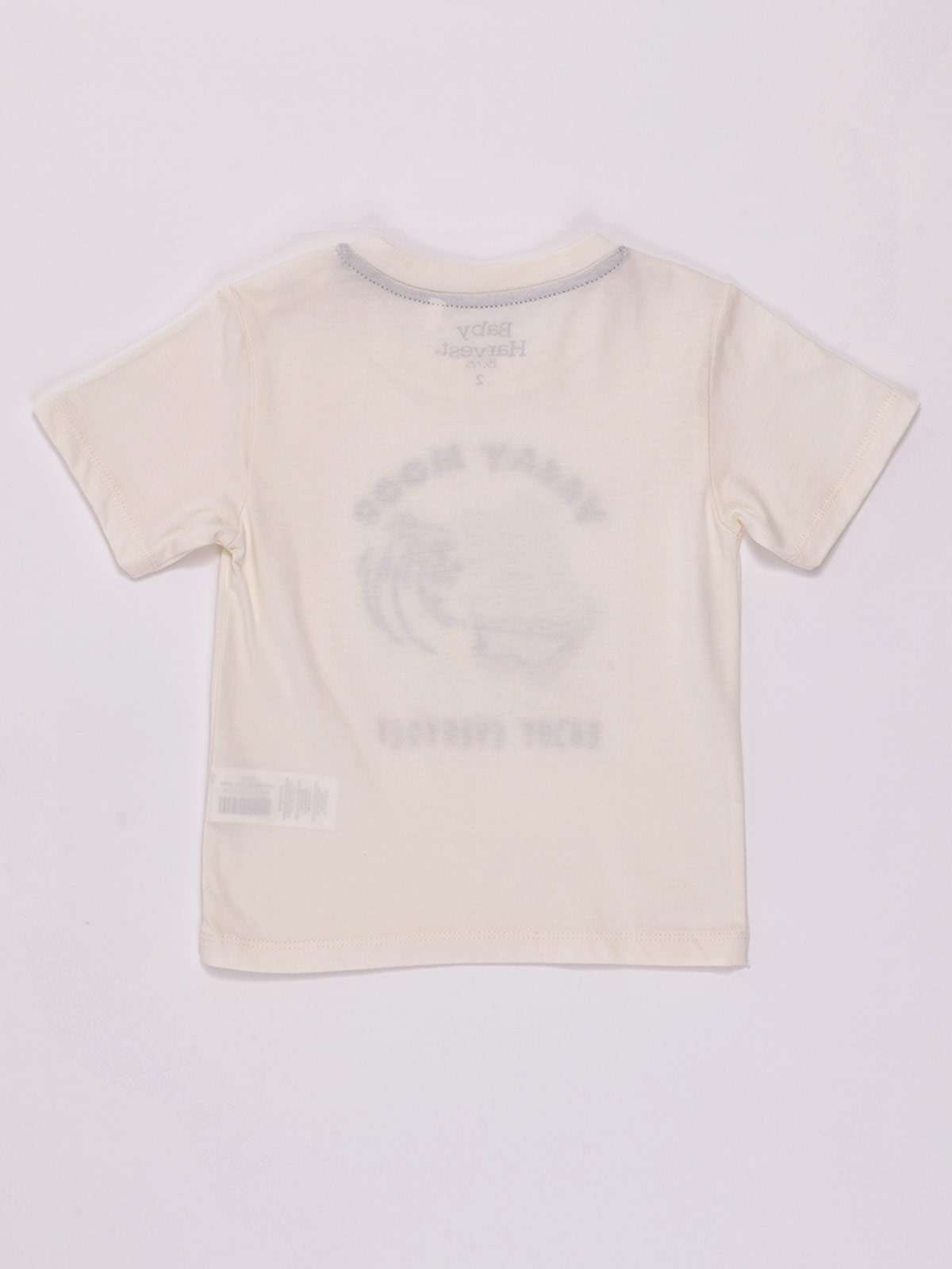 POLO MANGA CORTA BEBÉ NIÑO BABY HARVEST - 2