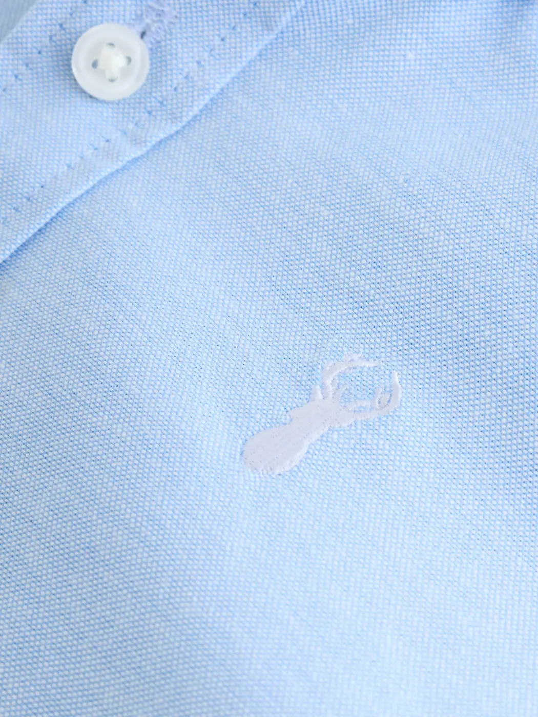 CAMISA MANGA CORTA ALGODÓN NIÑO NEXT - 6