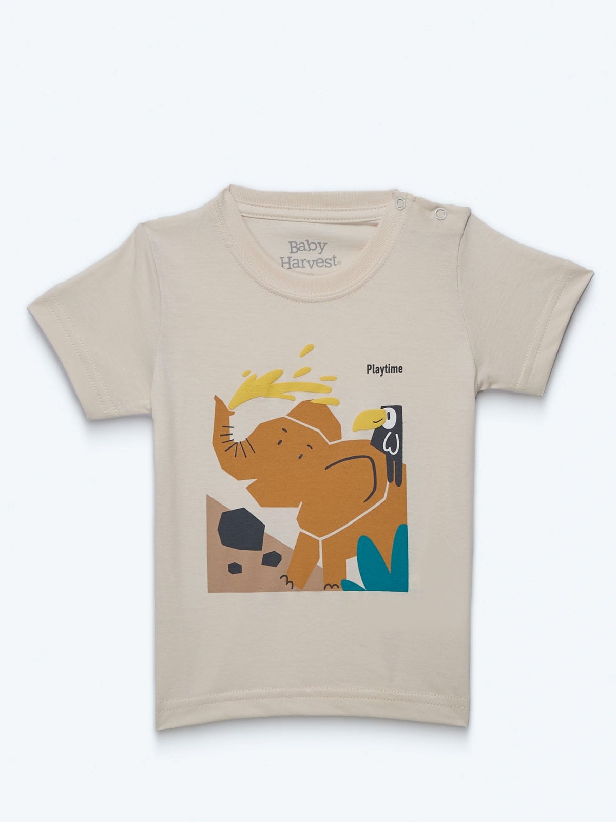 POLO BASPP MANGA CORTA ALGODÓN BEBE NIÑO BABY HARVEST - 3