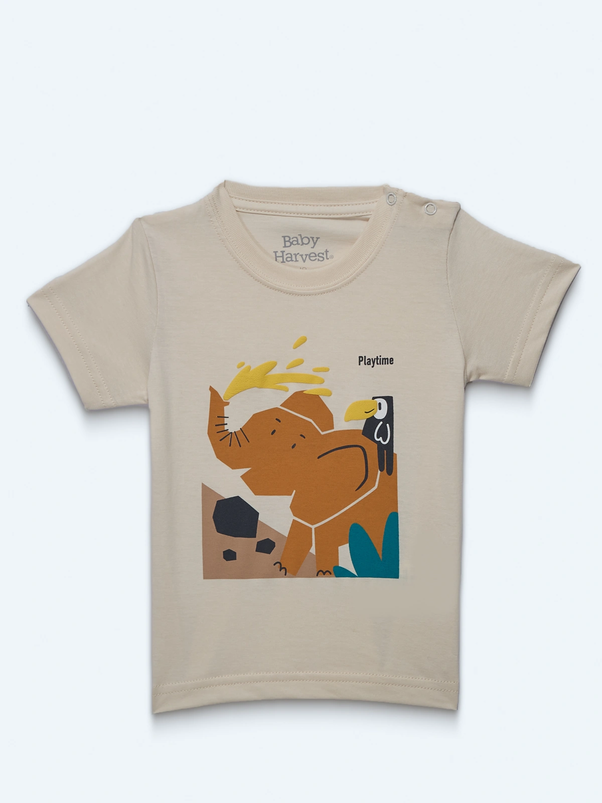 POLO MANGA CORTA ALGODÓN NIÑO BABY HARVEST - 1