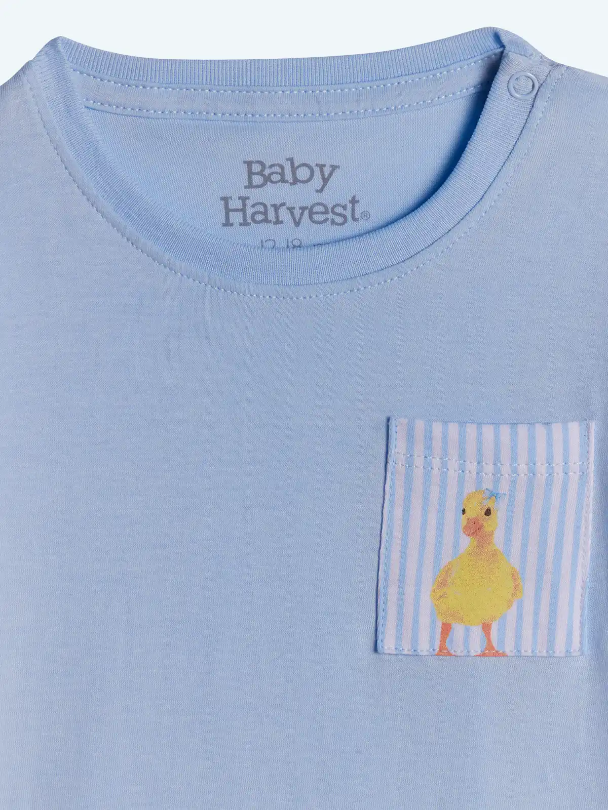 POLO MANGA CORTA ALGODÓN BEBÉ NIÑA BABY HARVEST BOLSILLO  - 3