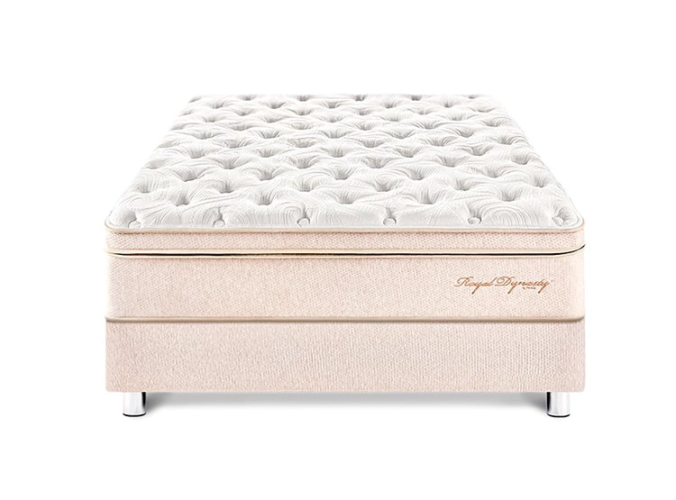 CAMA PARAÍSO ROYAL DYNASTY 2 PLAZAS CHAMPAGNE + 2 ALMOHADAS VISCO + PROTECTOR - 1