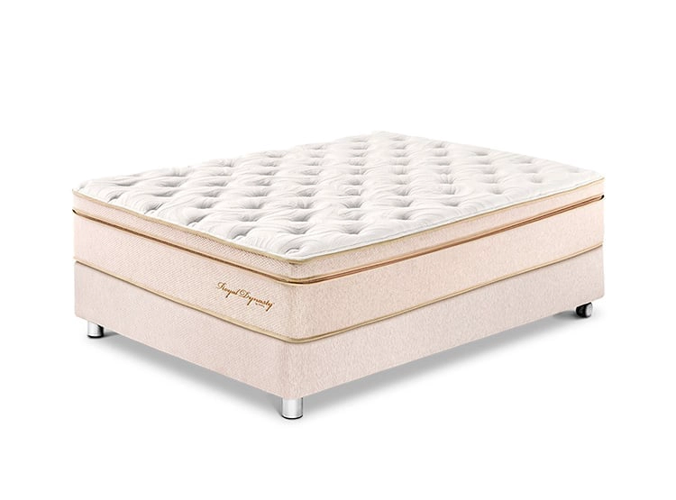 CAMA PARAÍSO ROYAL DYNASTY 2 PLAZAS CHAMPAGNE + 2 ALMOHADAS VISCO + PROTECTOR - 2