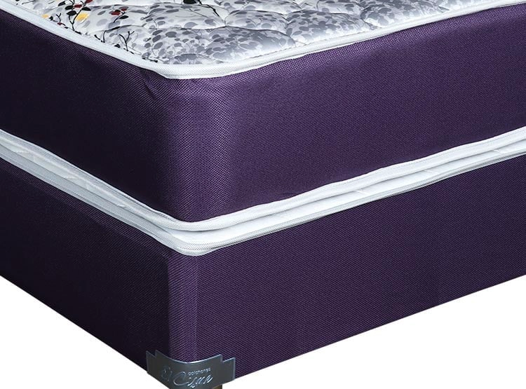 BASE BOXET EL CISNE SPACE QUEEN - 2