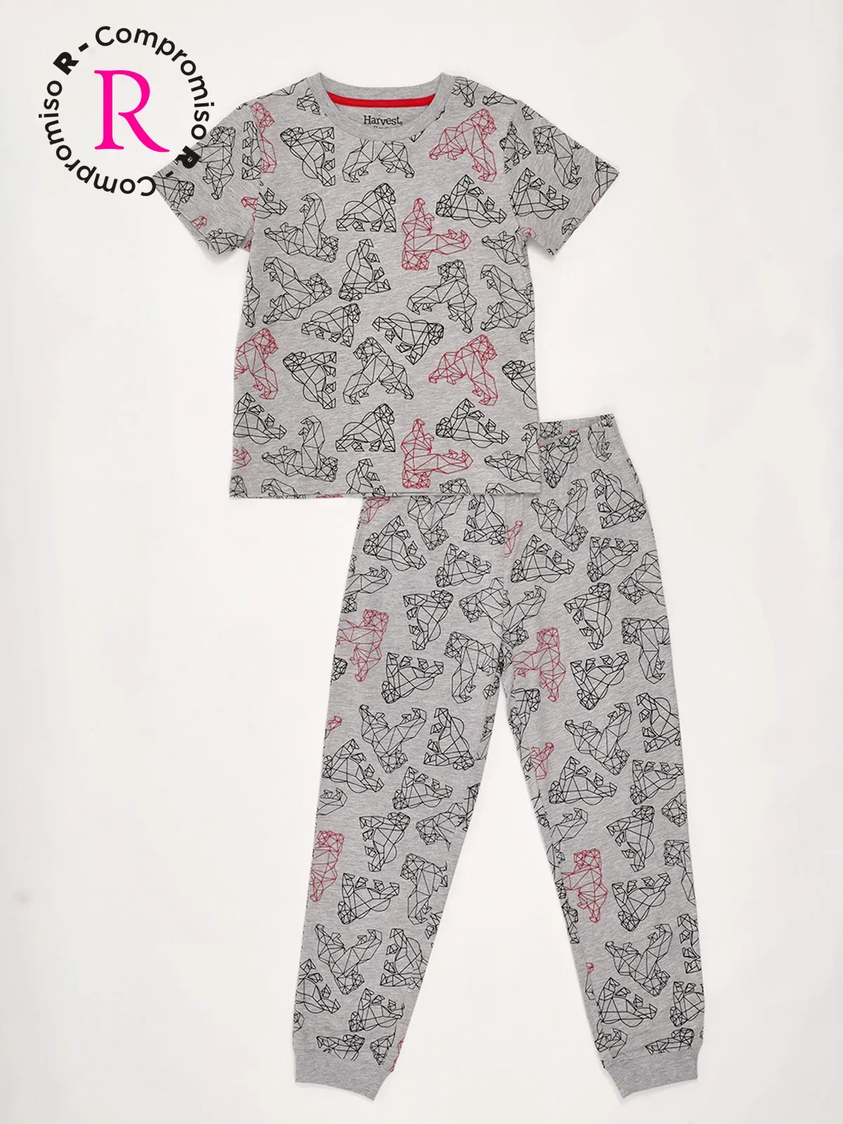 PIJAMA ALGODÓN NIÑO HARVEST MANGA CORTA - 1