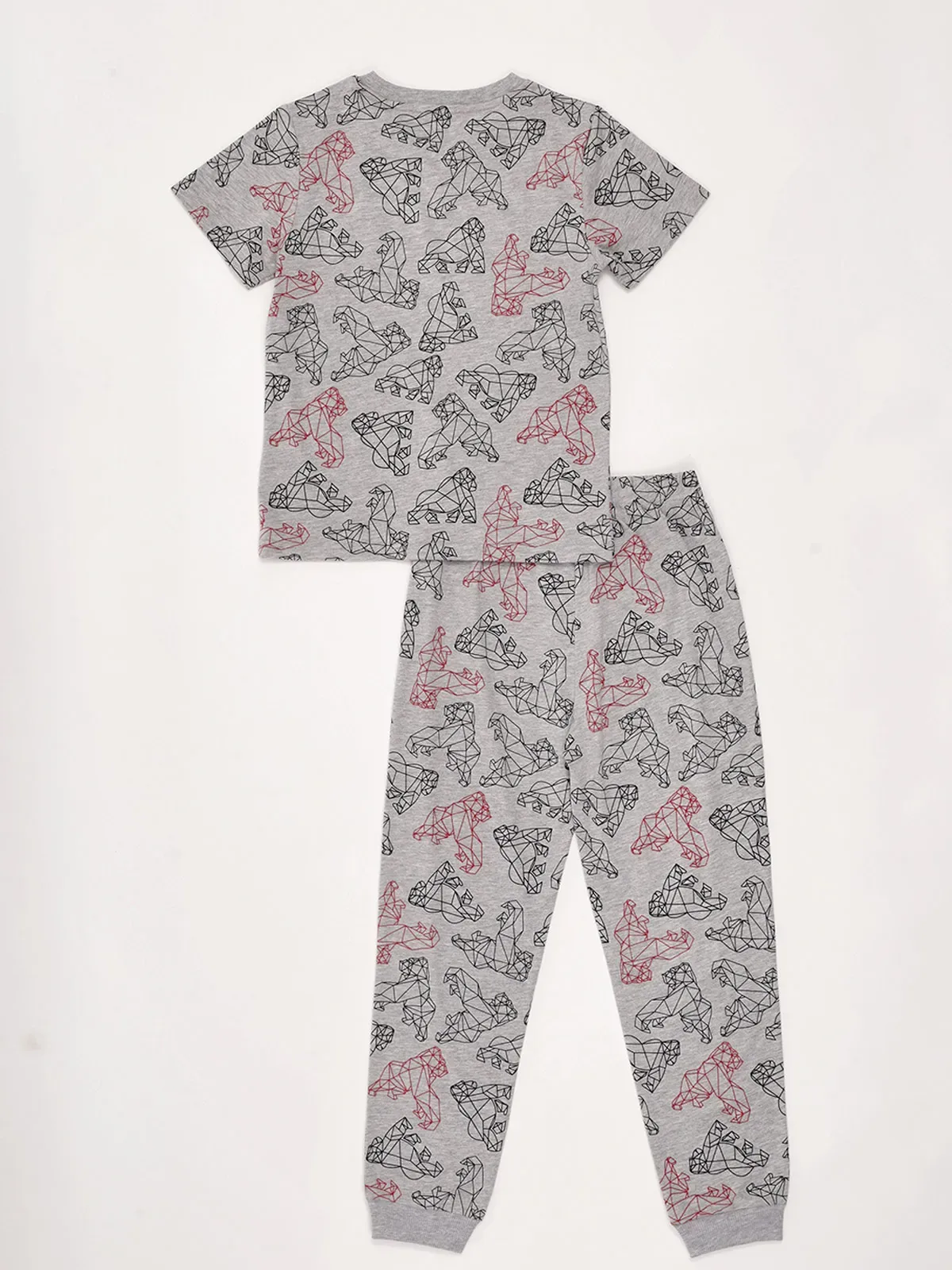 PIJAMA ALGODÓN NIÑO HARVEST MANGA CORTA - 2