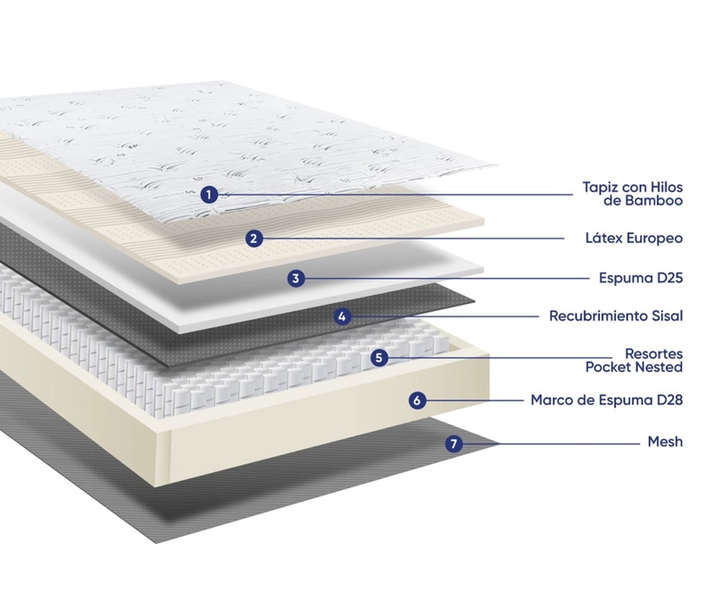 CAMA EUROPEA DRIMER GOLD PURE FRESH QUEEN - 4