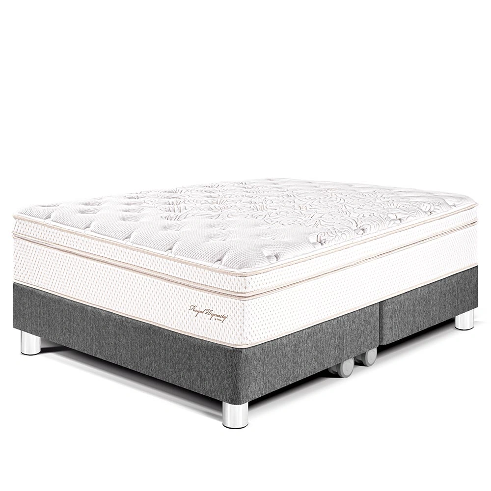 CAMA PARAÍSO ROYAL DYNASTY QUEEN GRIS + 2 ALMOHADAS VISCOELÁSTICAS - 1