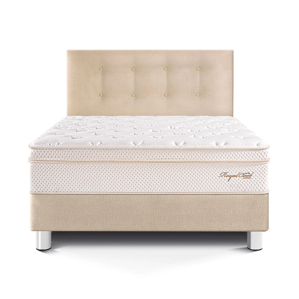 DORMITORIO PARAÍSO ROYAL CLOUD 1.5 PLAZAS CHAMPAGNE + 1 ALMOHADA VISCOELÁSTICA - 3