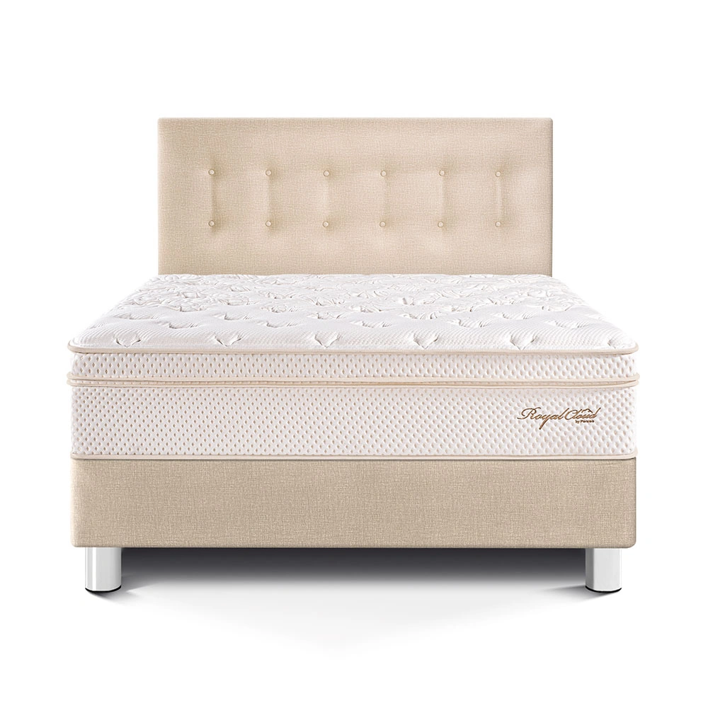 DORMITORIO PARAÍSO ROYAL CLOUD QUEEN CHAMPAGNE + 2 ALMOHADAS VISCOELÁSTICAS - 3