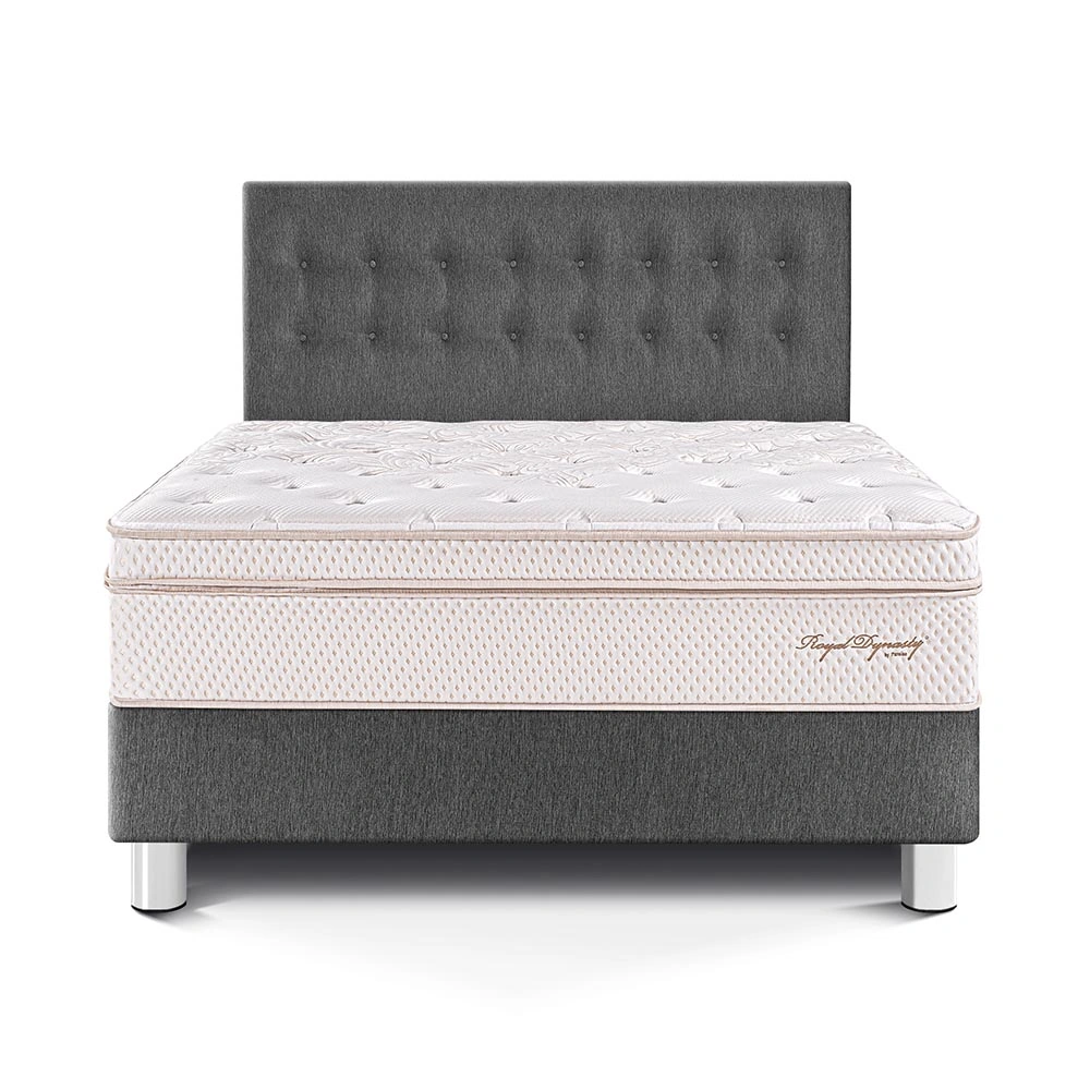 DORMITORIO PARAÍSO ROYAL DYNASTY KING GRIS + 2 ALMOHADAS VISCOELÁSTICAS - 3