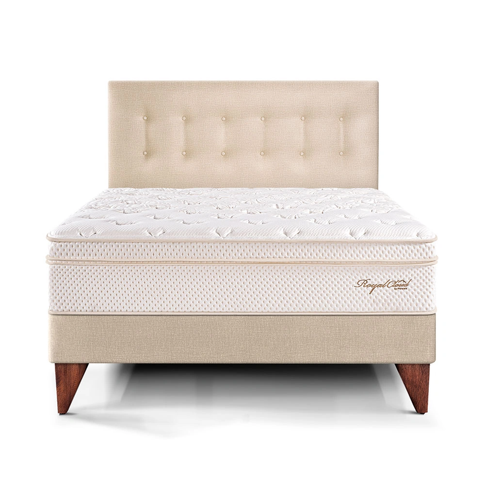 DORMITORIO EUROPEO PARAÍSO ROYAL CLOUD QUEEN CHAMPAGNE + 2 ALMOHADAS VISCOELÁSTICAS - 3